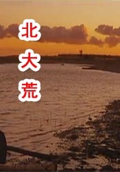 日本aaaa大片免费观看入口